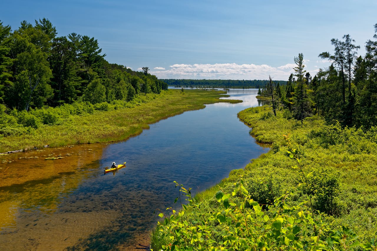 about-02 Scenic view of a lone kayaker paddling on a calm river surrounded by lush green forest.
